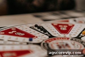 AG真人 agscorevip