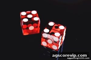 AG真人 agscorevip